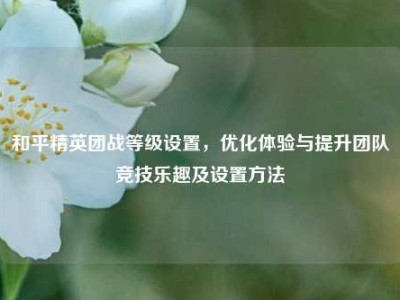 和平精英团战等级设置，优化体验与提升团队竞技乐趣及设置方法