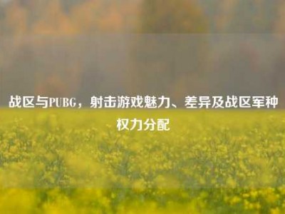 战区与PUBG，射击游戏魅力、差异及战区军种权力分配