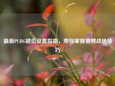 最新PUBG键位设置指南，带你掌握驰骋战场技巧
