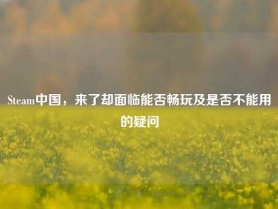 Steam中国，来了却面临能否畅玩及是否不能用的疑问