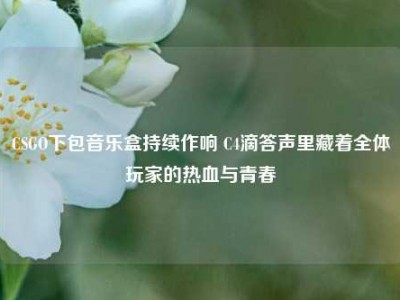 CSGO下包音乐盒持续作响 C4滴答声里藏着全体玩家的热血与青春