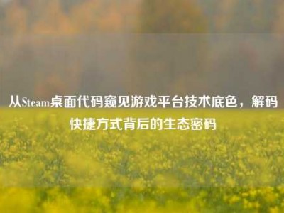 从Steam桌面代码窥见游戏平台技术底色，解码快捷方式背后的生态密码