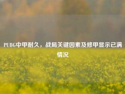 PUBG中甲耐久，战局关键因素及修甲显示已满情况