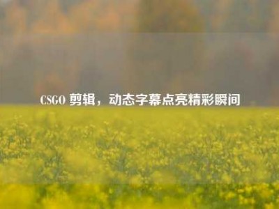 CSGO 剪辑，动态字幕点亮精彩瞬间