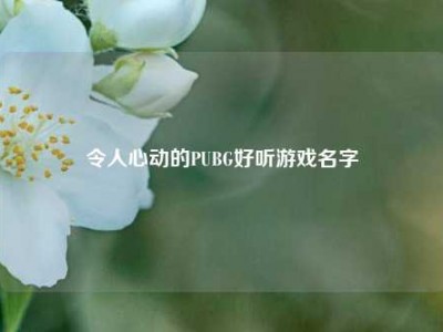 令人心动的PUBG好听游戏名字