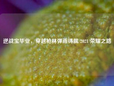 逆战宝毕业，穿越枪林弹雨铸就 2021 荣耀之路