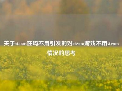 关于steam在吗不用引发的对steam游戏不用steam情况的思考