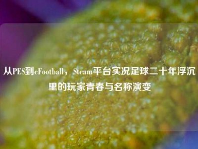 从PES到eFootball，Steam平台实况足球二十年浮沉里的玩家青春与名称演变