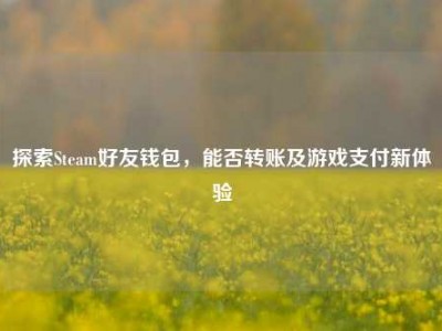 探索Steam好友钱包，能否转账及游戏支付新体验