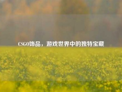 CSGO饰品，游戏世界中的独特宝藏