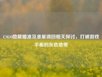 CSGO隐藏瞄准及准星调回相关探讨，打破游戏平衡的灰色地带