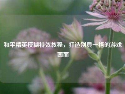 和平精英模糊特效教程，打造别具一格的游戏画面