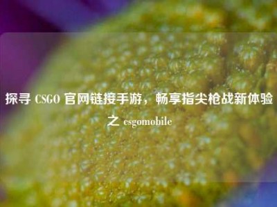 探寻 CSGO 官网链接手游，畅享指尖枪战新体验之 csgomobile