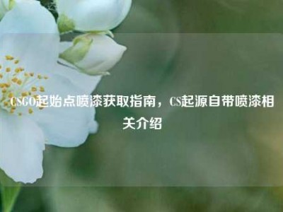 CSGO起始点喷漆获取指南，CS起源自带喷漆相关介绍