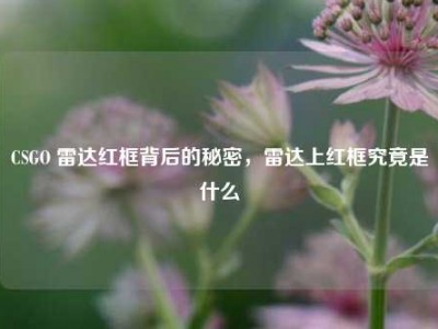 CSGO 雷达红框背后的秘密，雷达上红框究竟是什么