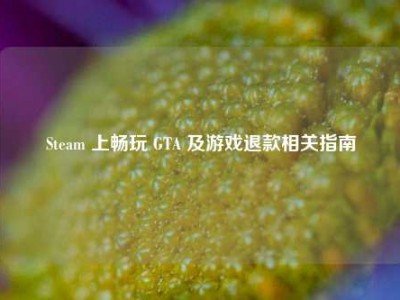 Steam 上畅玩 GTA 及游戏退款相关指南