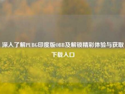 深入了解PUBG印度版OBB及解锁精彩体验与获取下载入口
