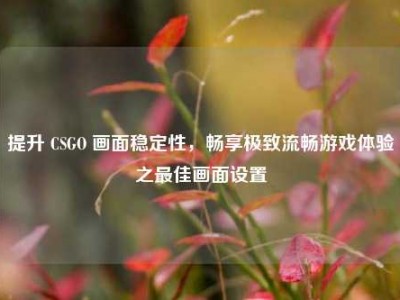 提升 CSGO 画面稳定性，畅享极致流畅游戏体验之最佳画面设置