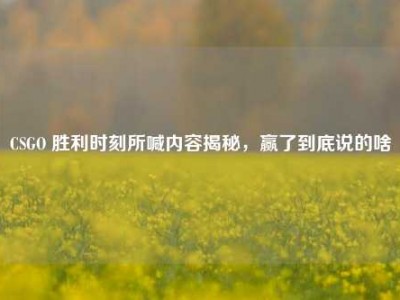 CSGO 胜利时刻所喊内容揭秘，赢了到底说的啥