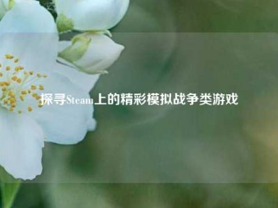 探寻Steam上的精彩模拟战争类游戏
