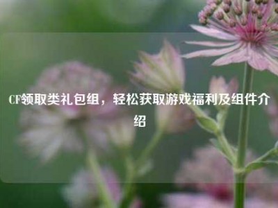 CF领取类礼包组，轻松获取游戏福利及组件介绍
