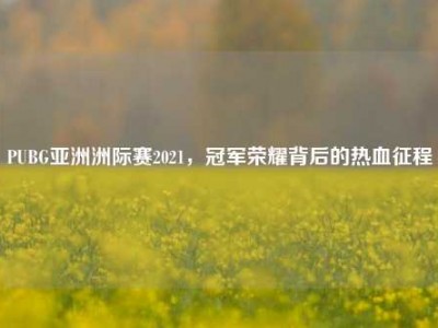 PUBG亚洲洲际赛2021，冠军荣耀背后的热血征程