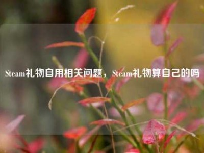 Steam礼物自用相关问题，Steam礼物算自己的吗