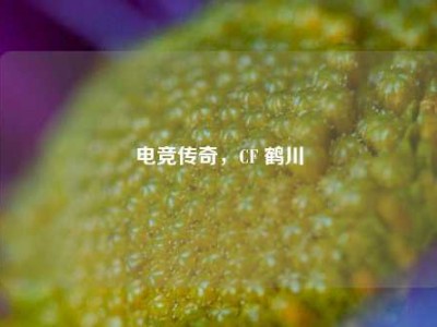 电竞传奇，CF 鹤川