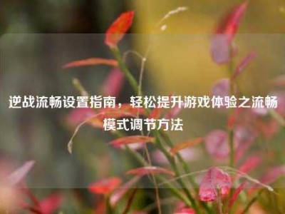 逆战流畅设置指南，轻松提升游戏体验之流畅模式调节方法