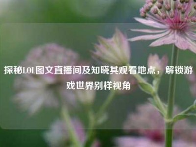 探秘LOL图文直播间及知晓其观看地点，解锁游戏世界别样视角