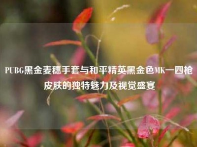 PUBG黑金麦穗手套与和平精英黑金色MK一四枪皮肤的独特魅力及视觉盛宴
