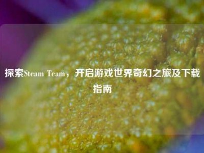 探索Steam Team，开启游戏世界奇幻之旅及下载指南