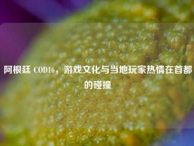 阿根廷 COD16，游戏文化与当地玩家热情在首都的碰撞