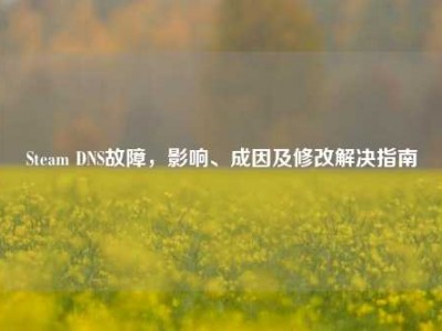 Steam DNS故障，影响、成因及修改解决指南