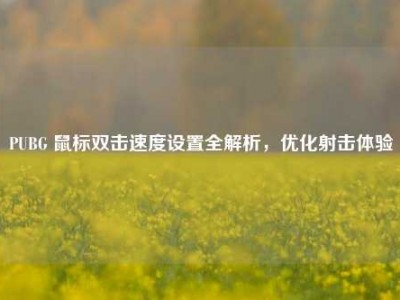 PUBG 鼠标双击速度设置全解析，优化射击体验