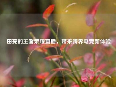 田亮的王者荣耀直播，带来跨界电竞新体验