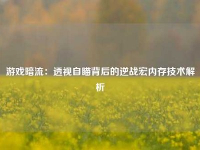 游戏暗流：透视自瞄背后的逆战宏内存技术解析