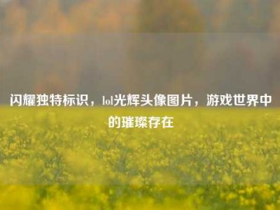 闪耀独特标识，lol光辉头像图片，游戏世界中的璀璨存在