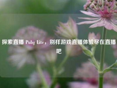 探索直播 Pubg Lite，别样游戏直播体验尽在直播吧
