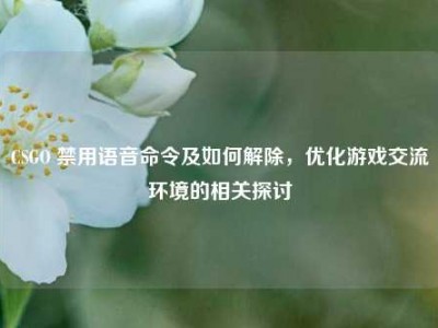 CSGO 禁用语音命令及如何解除，优化游戏交流环境的相关探讨