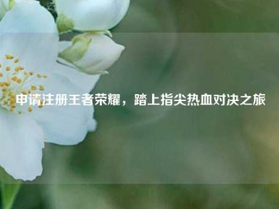 申请注册王者荣耀，踏上指尖热血对决之旅