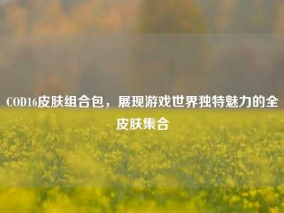 COD16皮肤组合包，展现游戏世界独特魅力的全皮肤集合