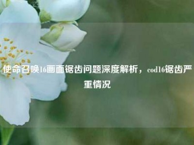 使命召唤16画面锯齿问题深度解析，cod16锯齿严重情况