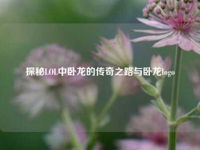 探秘LOL中卧龙的传奇之路与卧龙logo