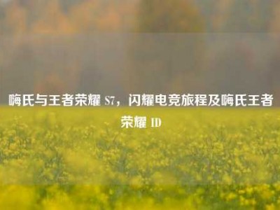 嗨氏与王者荣耀 S7，闪耀电竞旅程及嗨氏王者荣耀 ID