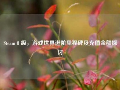 Steam 8 级，游戏世界进阶里程碑及充值金额探讨