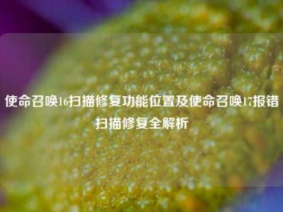 使命召唤16扫描修复功能位置及使命召唤17报错扫描修复全解析