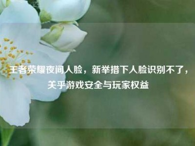 王者荣耀夜间人脸，新举措下人脸识别不了，关乎游戏安全与玩家权益