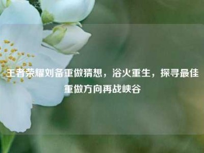 王者荣耀刘备重做猜想，浴火重生，探寻最佳重做方向再战峡谷