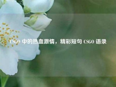 CSGO 中的热血激情，精彩短句 CSGO 语录